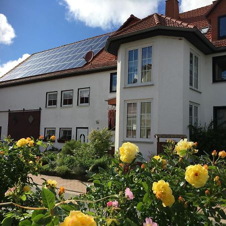 Gallowayhof Am Edersee Vöhl Exteriér fotografie